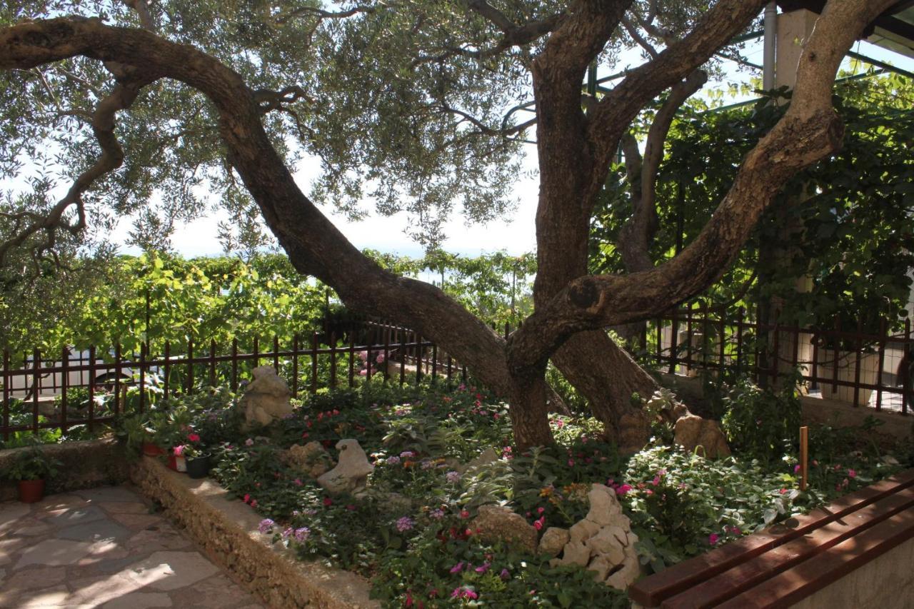 Apartments With A Parking Space Makarska - 6792 Εξωτερικό φωτογραφία